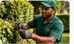 Jardineiro cuidando de área verde residencial